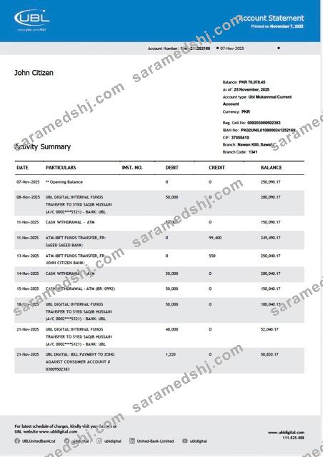 Pakistan United Bank Limited account statement Word and PDF template